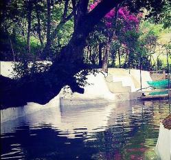 540547_461732137214353_1741660981_n